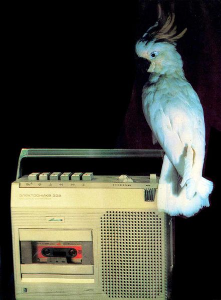 Файл:Elektronika305 3.jpg