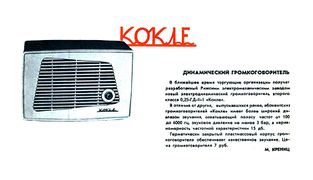 Kokle nt(95).jpg