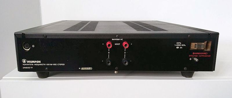 Файл:Mikron100um002s2.jpg