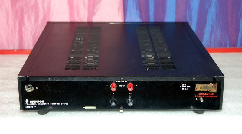 Файл:Mikron100um002s4.jpg