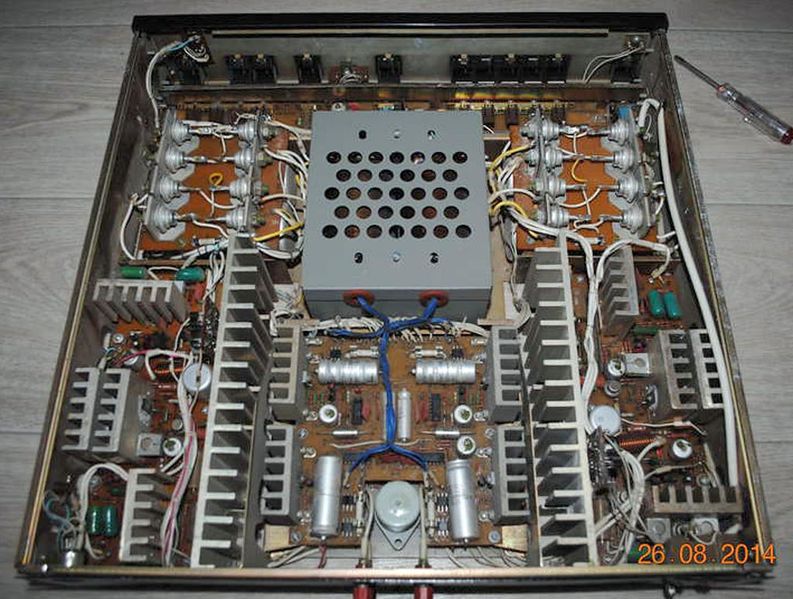 Файл:Mikron100um002s5.jpg
