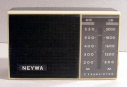 Neywa m6(2895).jpg