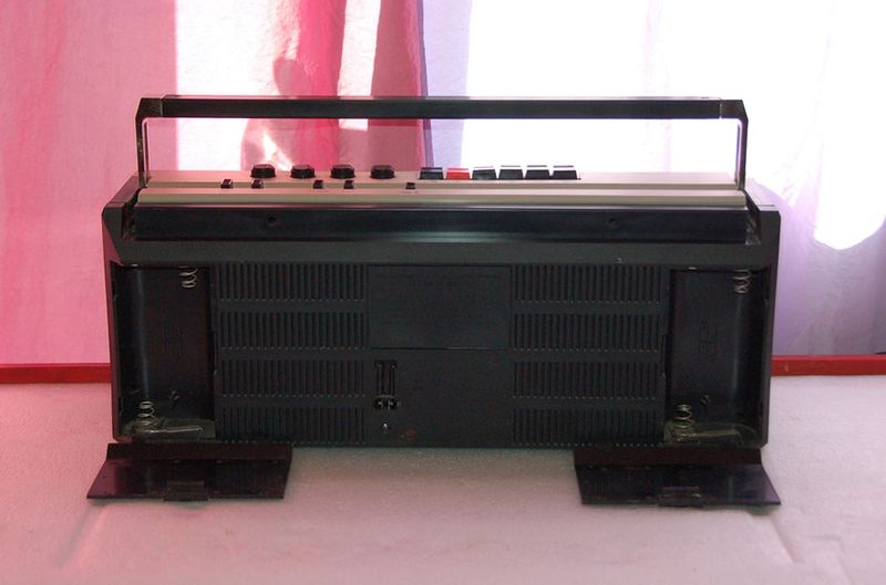 Файл:Wesna212s4 17(1131).jpg
